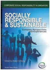 Socially Responsible & Sustainable Company Perspectives and Experiences