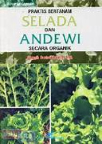 Praktis Bertanam Selada Dan Andewi Secara Organik
