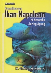 Pemeliharaan ikan napoleon di keramba jaring apung