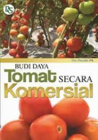 Budi Daya Tomat Secara Komersial