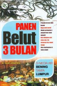 Panen Belut 3 Bulan