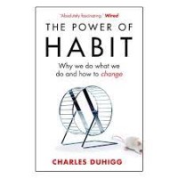 Image of The Power Of Habit: Why We DO What We Do And How To Change