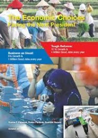 Image of The Economic Choices Facing The Next President